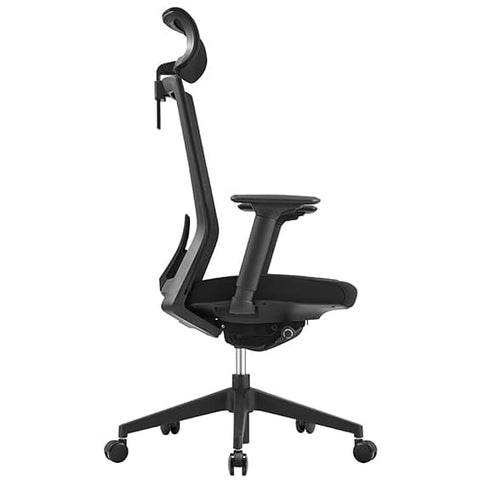 Ergonomic Neck and Back Executive Office Chair - Multiple adjustment points